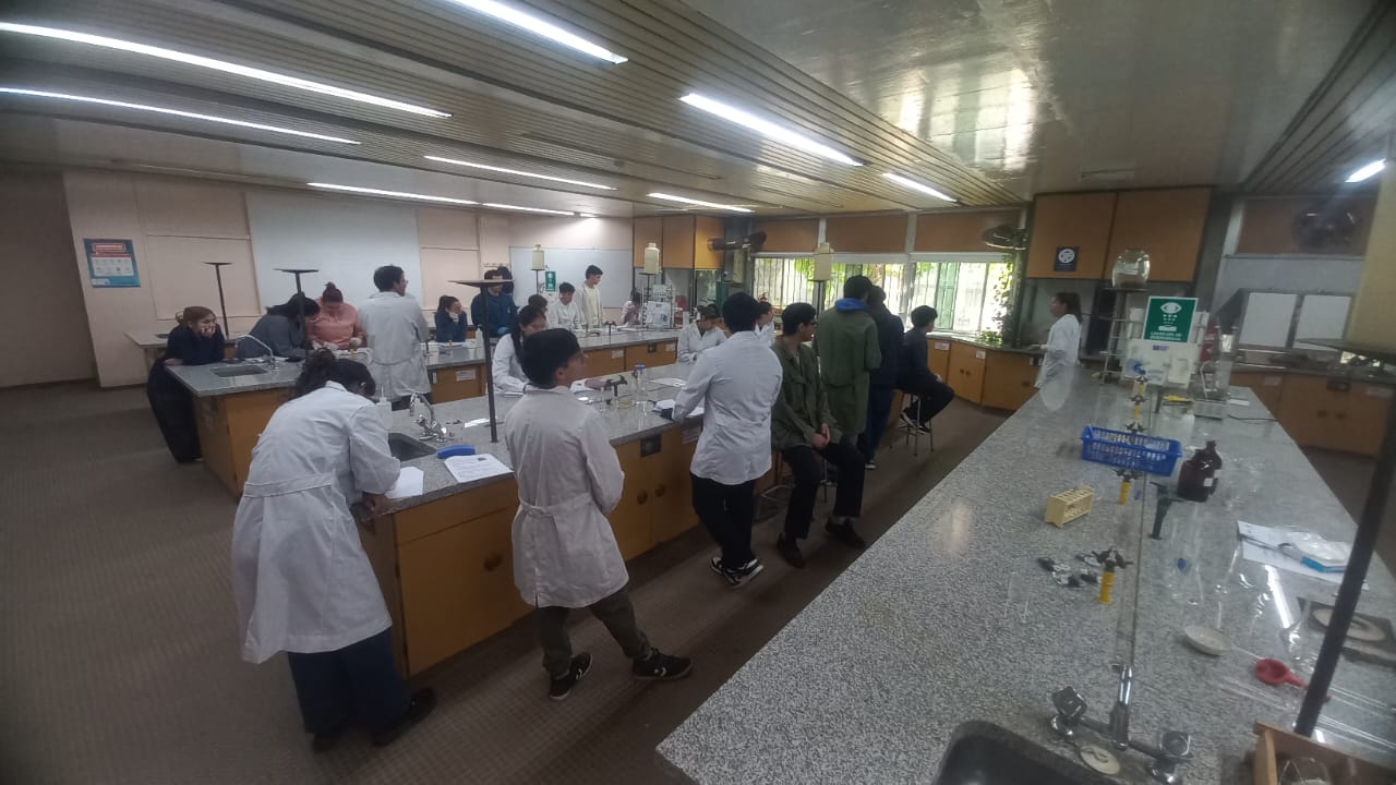 dc82688f-d794-4330-bffd-d531e922986f