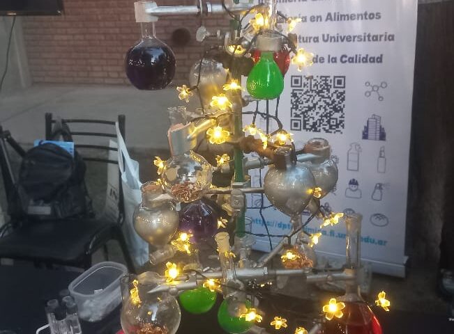 WhatsApp Image 2025-12-11 at 01.43.16 (12)